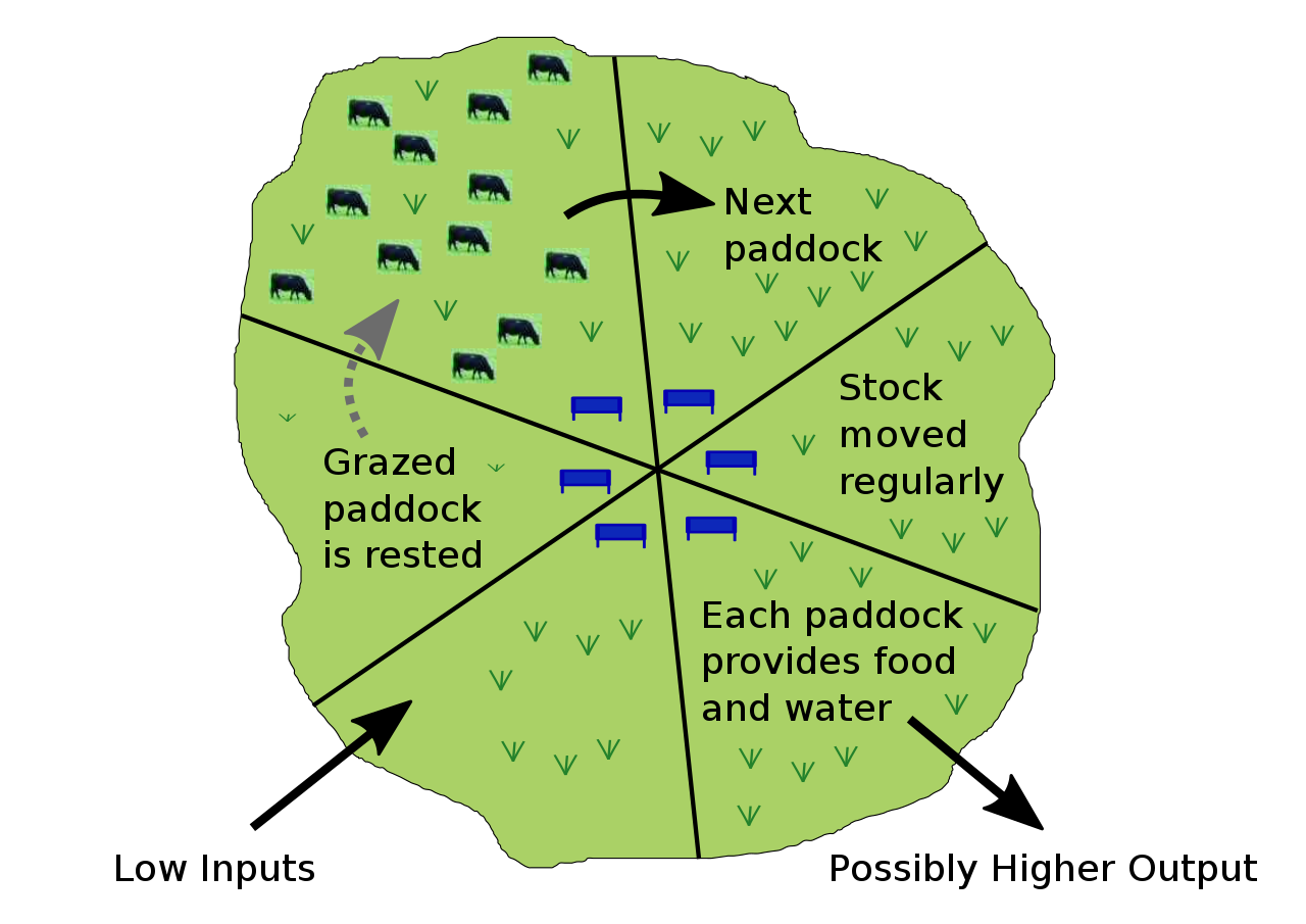Rotational Grazing