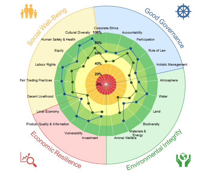 SMART results themes