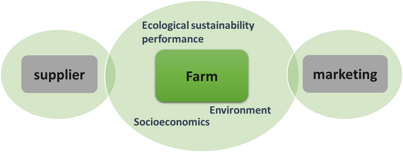Analyzed system