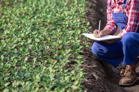 KAP, Agro-ecology program