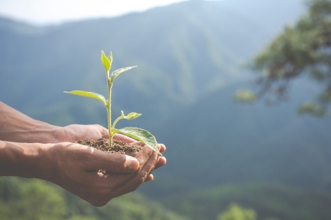 agro-environmental interventions