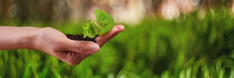 Green transition 