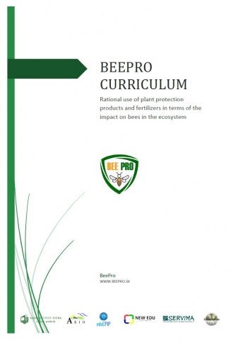 BEEPRO CURRICULUM