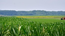 GAEC, crop rotation