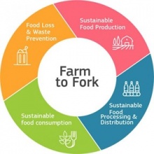 Main objectives of Farm to Fork Strategy 