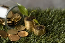 Eco schemes