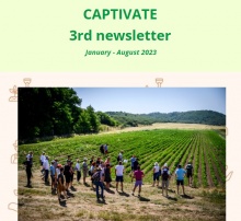 3rd project newsletter 