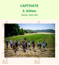 3. newsletter 