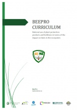 BEEPRO CURRICULUM